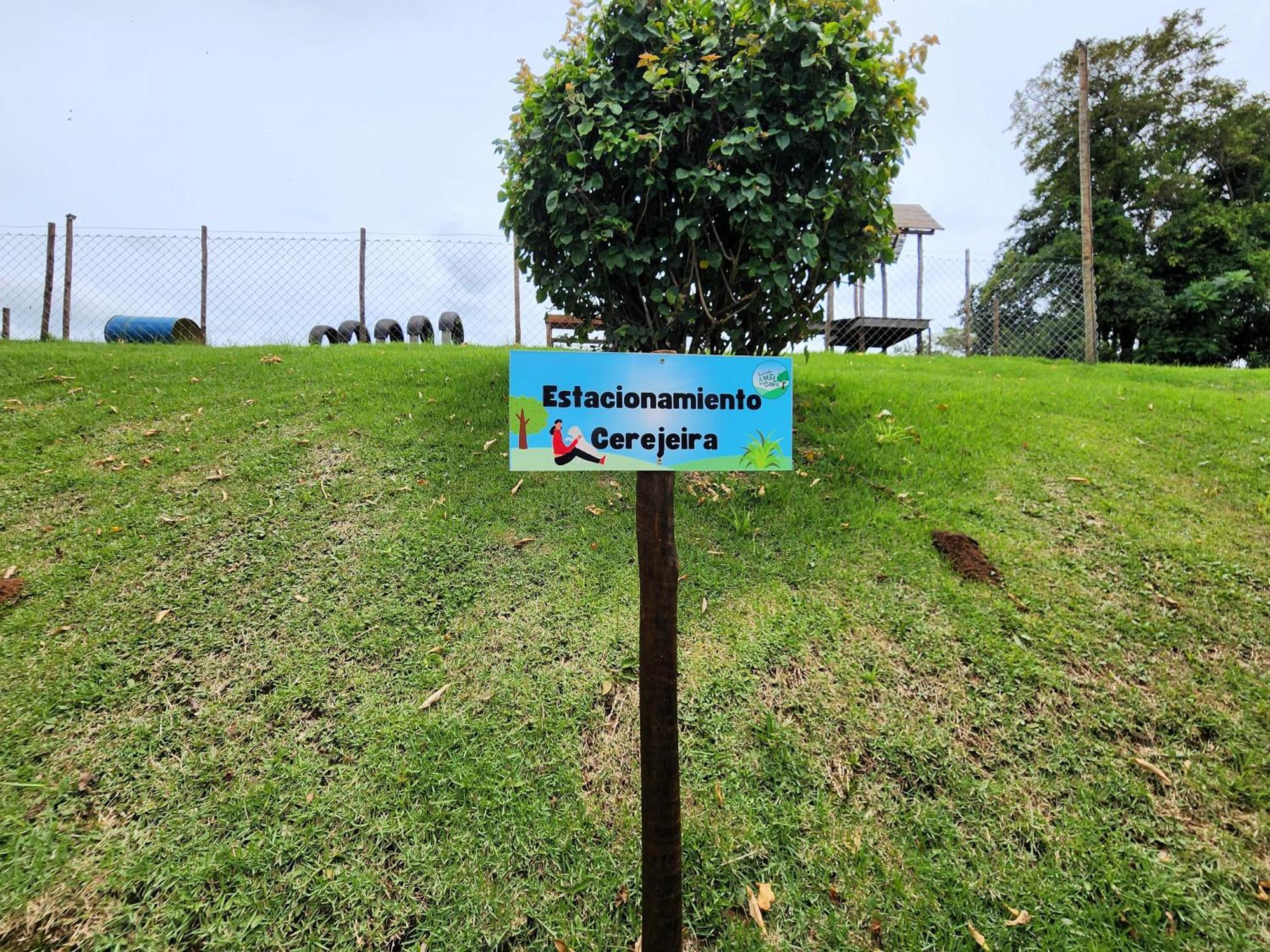 Pousada A Mata Que Canta Socorro  Esterno foto